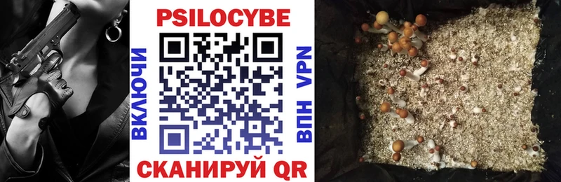 хочу наркоту  Козельск  Галлюциногенные грибы прущие грибы 